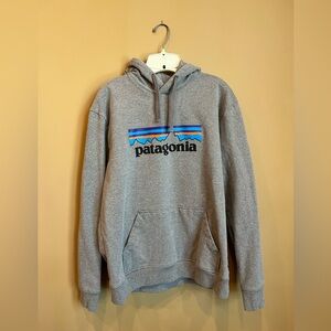 Patagonia Hoodie